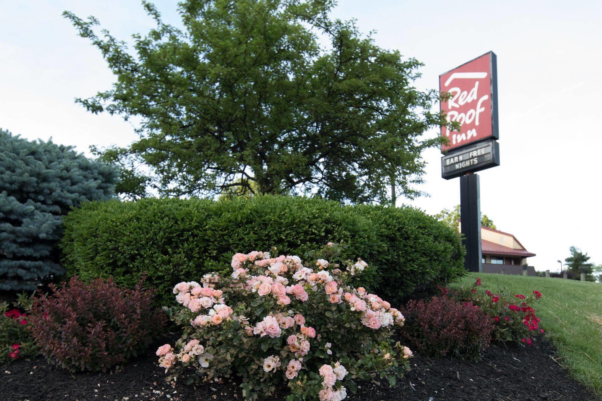 Red Roof Inn Cincinnati Northeast - Blue Ash Exterior foto